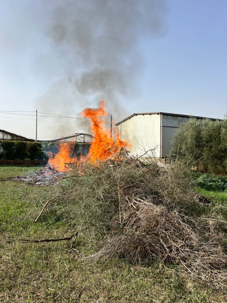 Milazzo: Controllo del territorio per diminuire gli incendi. Quattro persone fermate dalla Polizia locale