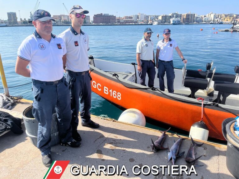 Milazzo – La Guardia Costiera libera alcuni esemplari di pesce spada catturati illegalmente