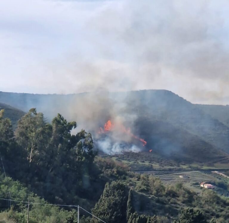 Vasto incendio tra Mistretta e Motta d’Affermo. Sul posto Forestale e Vigili del fuoco