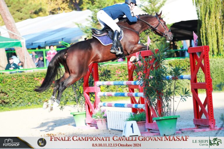 Capo d’Orlando – “L’allevamento dei Folletti” tra i più premiati al Campionato Italiano Giovani Cavalli MASAF