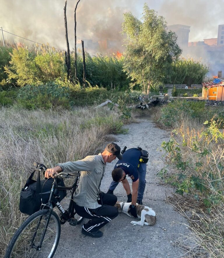 Catania, incendio al Villaggio Sant’Agata. Salvato un senza fissa dimora col suo cagnolino