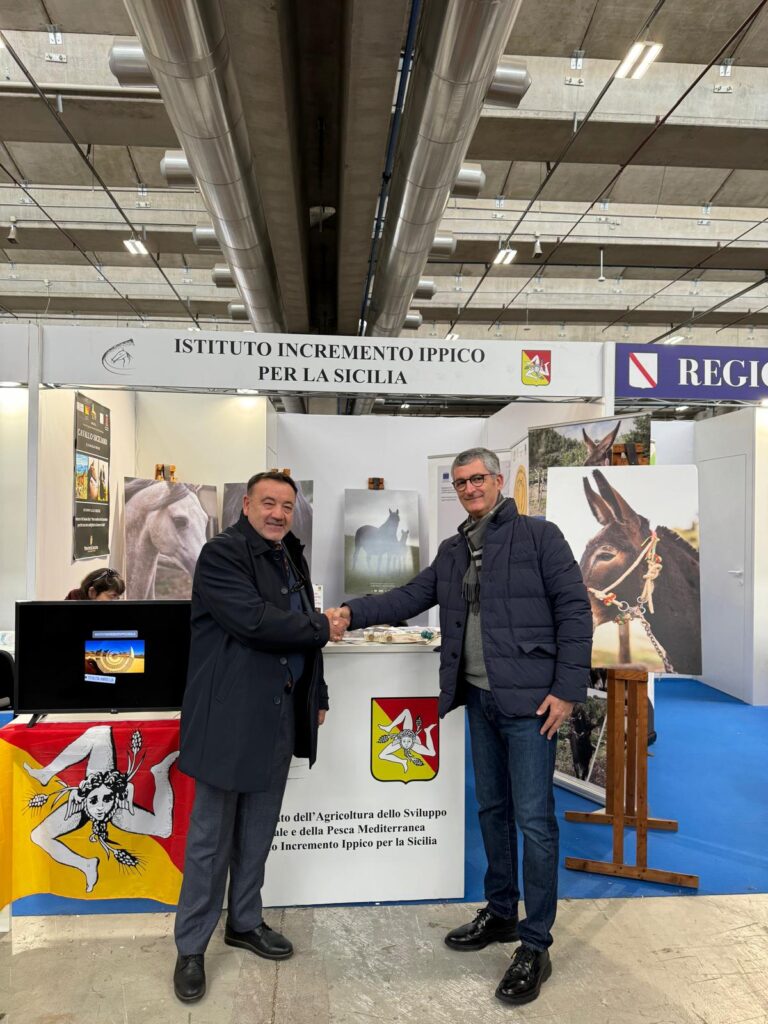 Verona – Fieracavalli: Parco dei Nebrodi e cavallo Sanfratellano: un binomio vincente