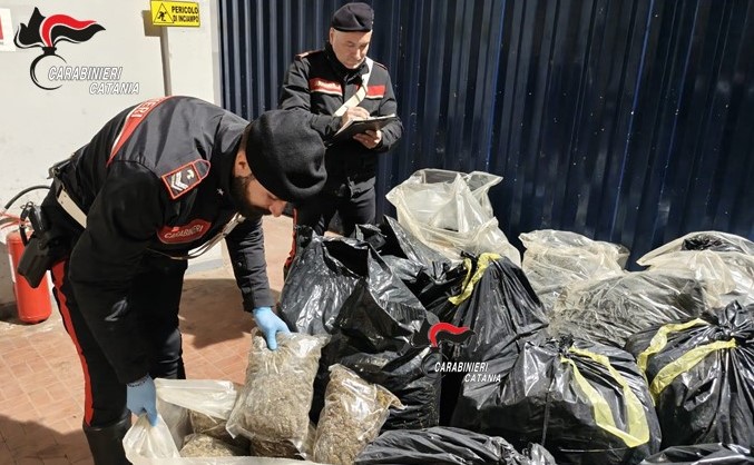 Catania trovati 2 quintali e mezzo di marijuana in un deposito di inerti. Indagini serrate dei carabinieri