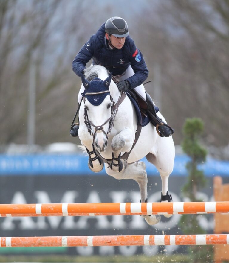 Dancing Wolf: il cavallo cresciuto nell’allevamento orlandino del dott. Merendino continua a brillare