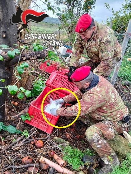 Palagonia, 1 kg di cocaina nascosta in contenitori per prodotti agricoli. Arrestato 57enne