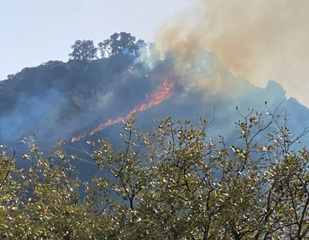 Sant’Agata Militello, rogo tra le contrade Serre e San Basilio