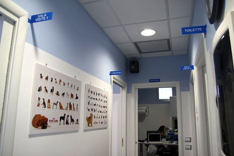 Ambulatorio Veterinario Barcellona