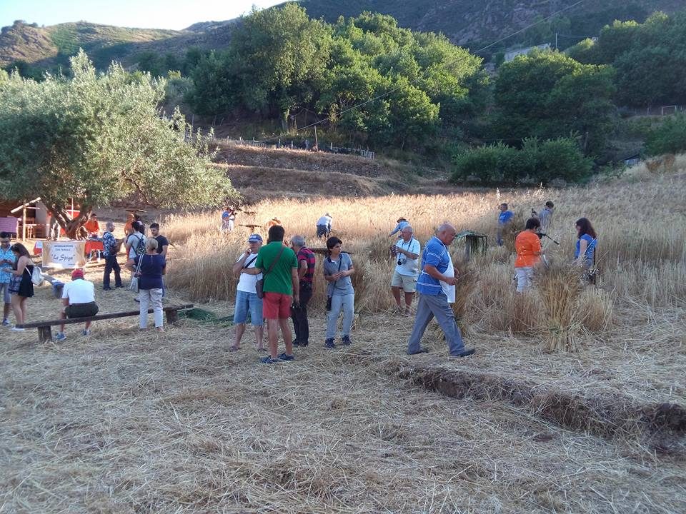 Festa della Mietitura Gioiosa Marea 2