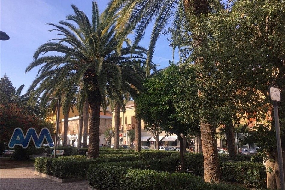 Le palme di Piazza Europa