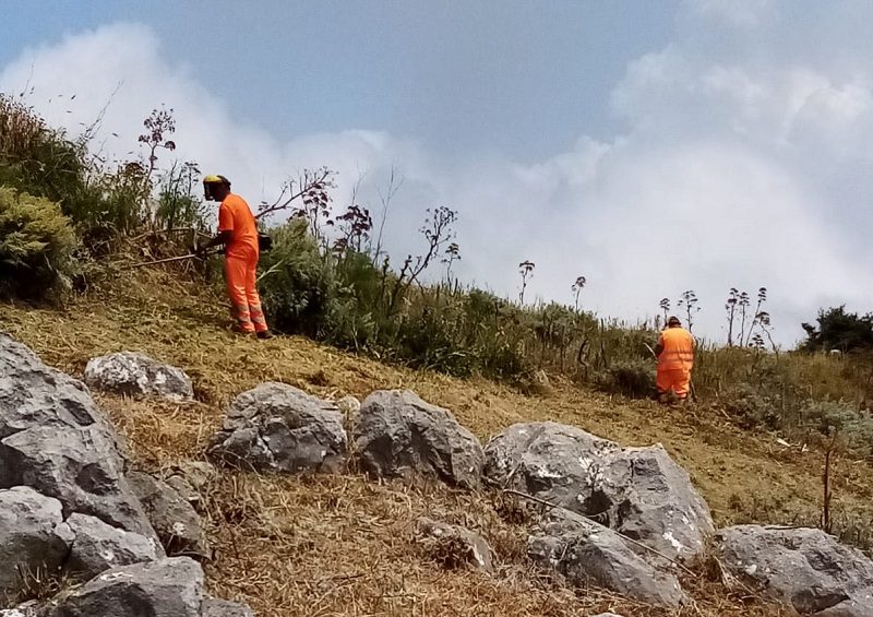 PARCO DI TINDARI. OPERAI AL LAVORO