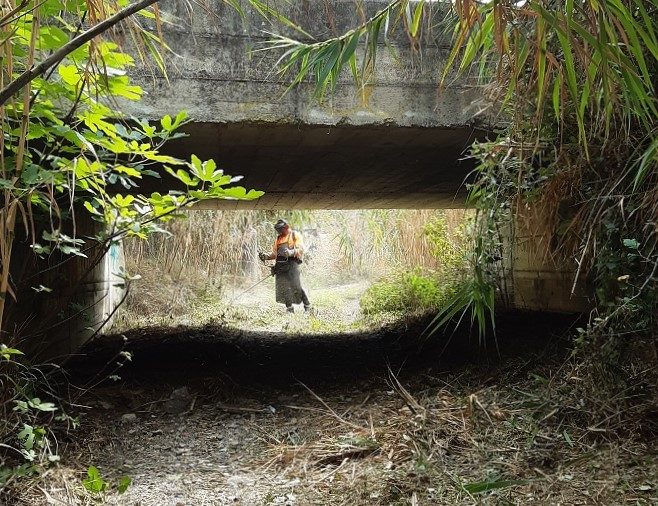 Pulizia torrente Piscittina