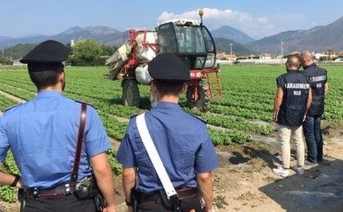 Repertorio controlli-carabinieri-lavoro-campi