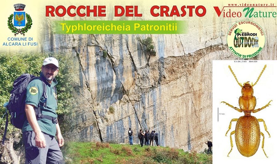 Rocche del Crasto - Typhloreicheia patronitii