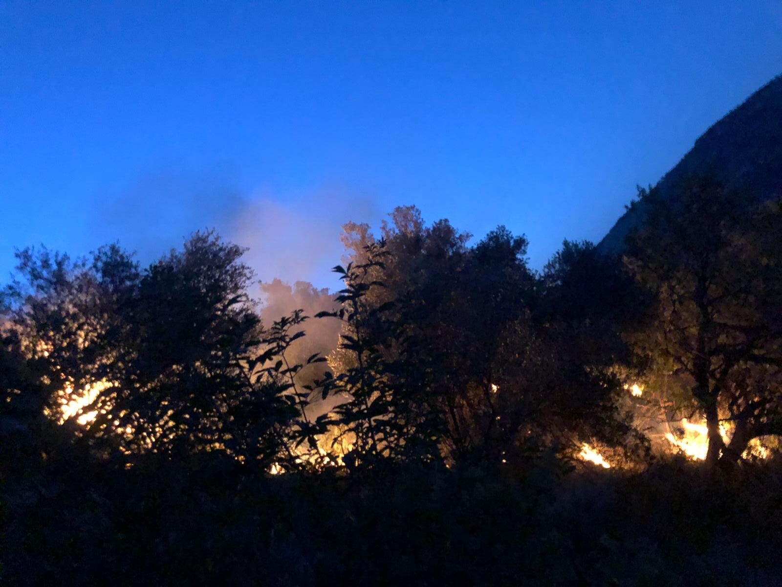 incendio militello