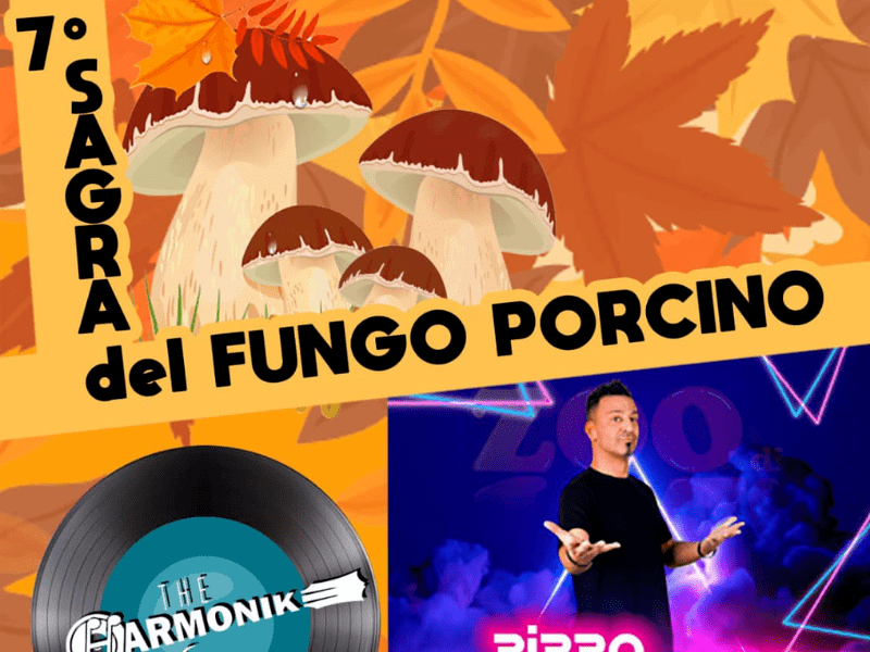 big_sagra-del-fungo-porcino (1)