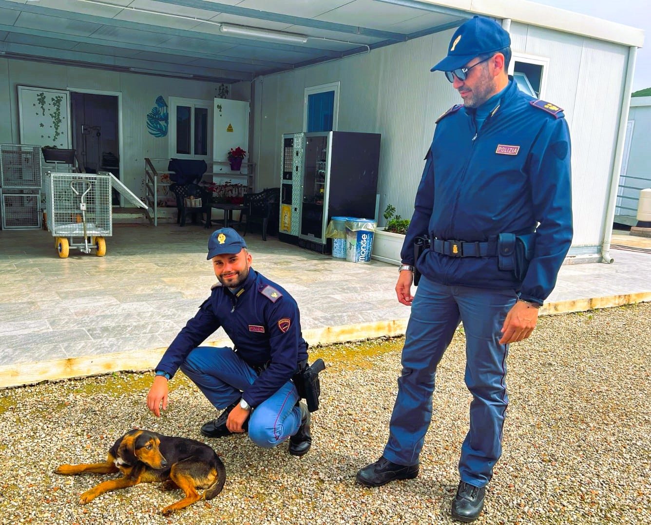 Gela - Il cagnolino salvato da un poliziotto