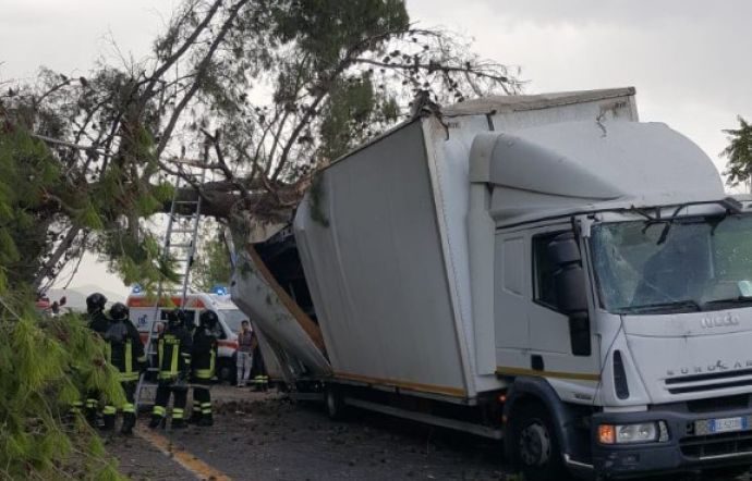 camion La Sicilia