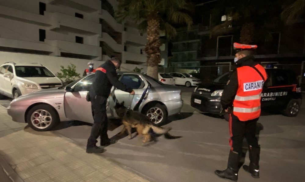 cane antidroga carabinieri messina