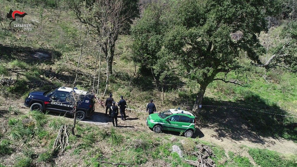 carabinieri forestali palermo 1