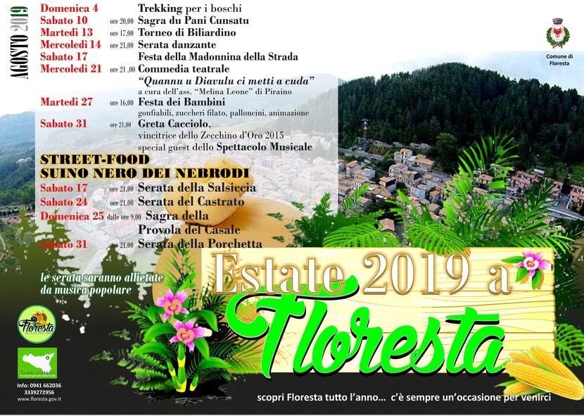 floresta d'estate 2019