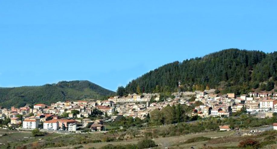 floresta paesagggio