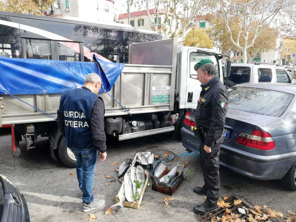 guardia finanza e guardia costiera