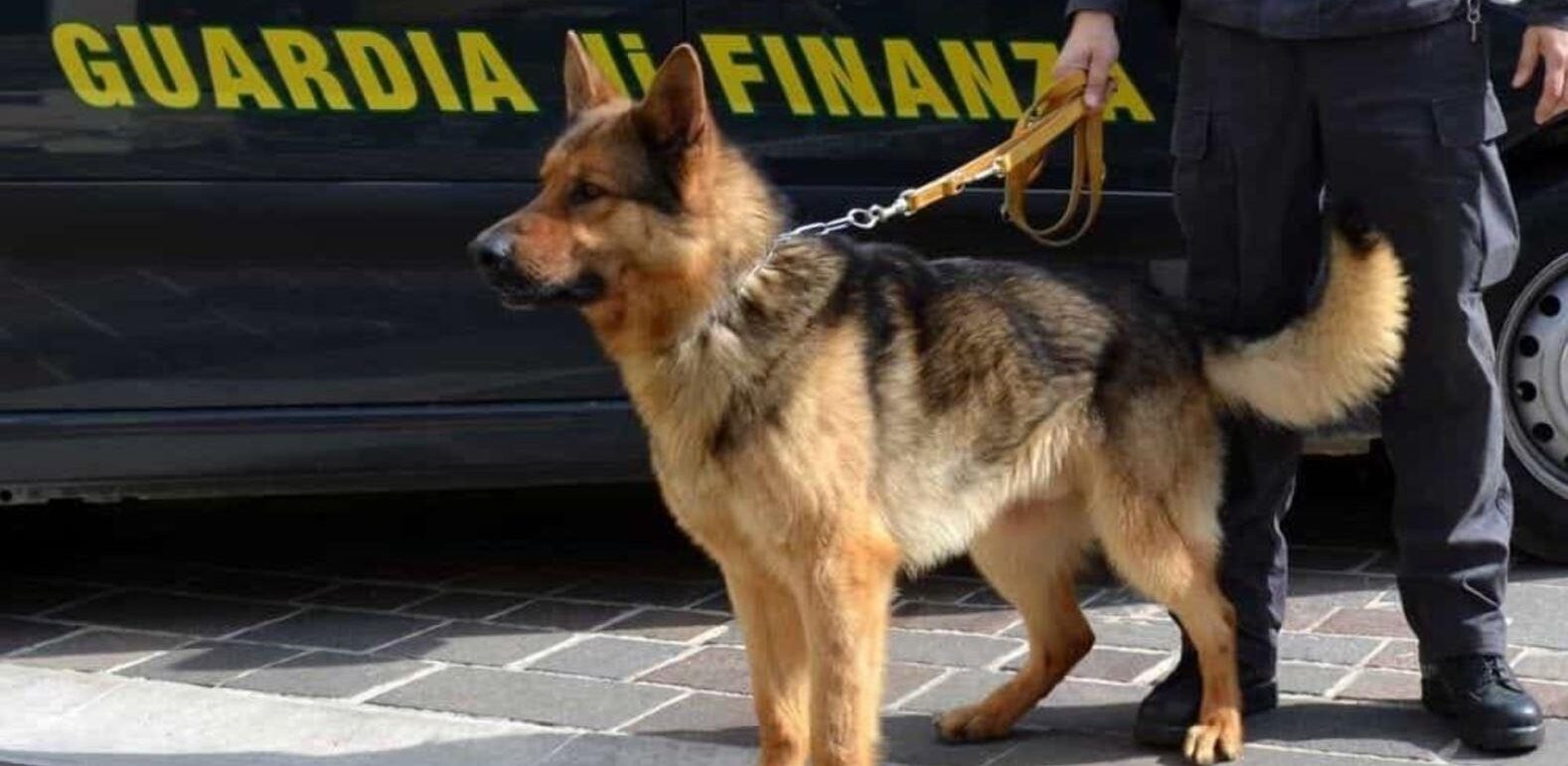 guardia finanza palermo cane antidroga