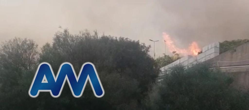 incendio marotta messina