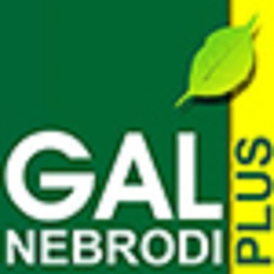 logo-web-gal-nebrodi-plus