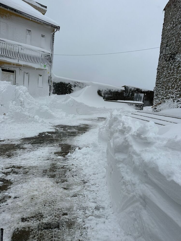 neve floresta 10.02 ok